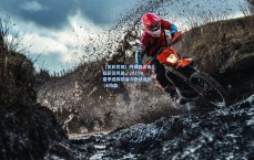 【足彩竞猜】丹佛掘金面临薪资风暴，2025年夏季或挥别潜力锋线佩顿-沃特森