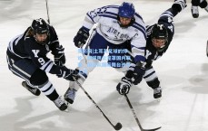 竞彩网|土耳其足球的悖论，假球阴云笼罩国内联赛，国家队国际舞台逆势上扬