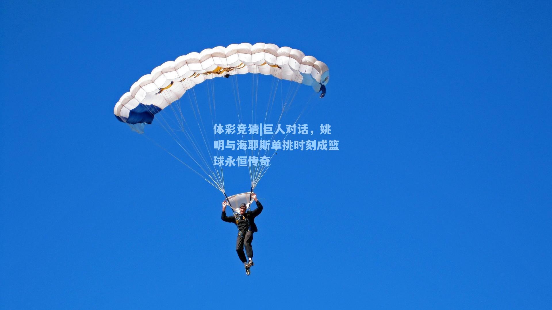 巨人对话,姚明与海耶斯单挑时刻成篮球永恒传奇